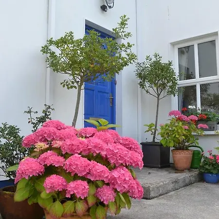 Couette-café Guaire House Killarney