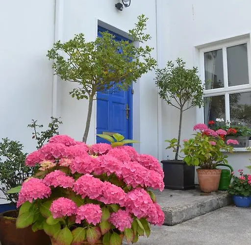 Couette-café Guaire House Killarney